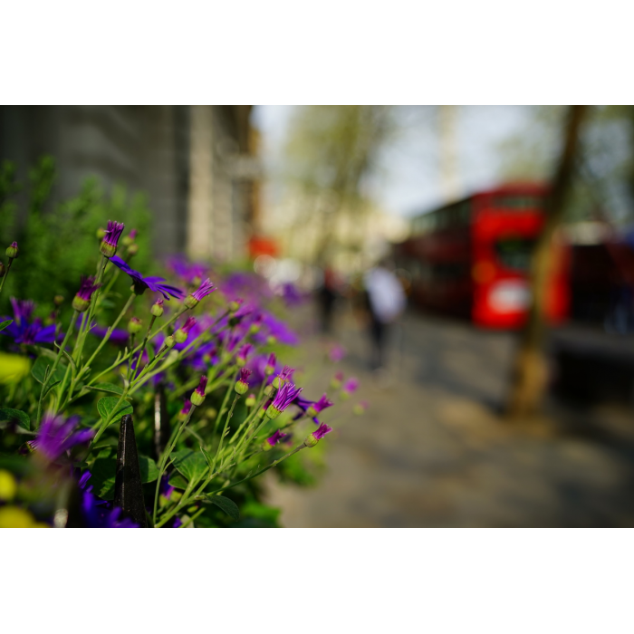 Объектив Sony ZA Distagon T Carl Zeiss (SEL35F14Z)