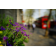 Объектив Sony ZA Distagon T Carl Zeiss (SEL35F14Z)