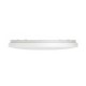Потолочная лампа Xiaomi Mi Smart LED Ceiling Light (BHR4118GL)